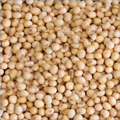 Organic Whole Soybean Grade: Food Grade