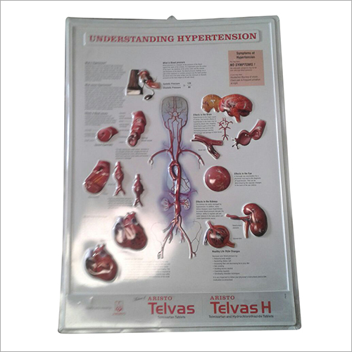 Hypertension Embossed Chart