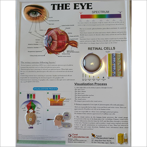 3D Promotional Chart