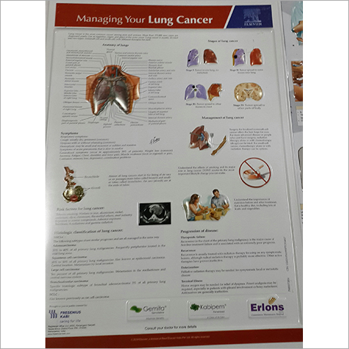 3d Plastic Medical Chart