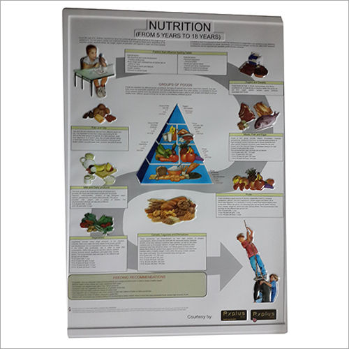 3D Embossed Nutrition Chart