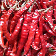 Dry Red Chilli Manufacturer & Exporter Of India