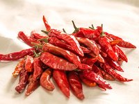 Indian Red Chilli Manufacturer & Exporter Of India