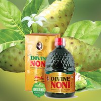 Original Divine Noni - Nutraceutical Powder Drink, 200+ Vital Nutrients, Daily Immune Support, Herbal Extract Blends For Wellness