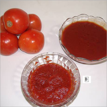 Tomato paste and puree By SRI SRINIVASA EXPORTS