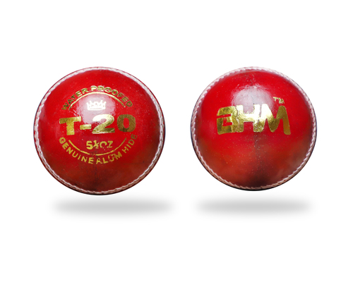 Cricket Leather Ball (T-20)