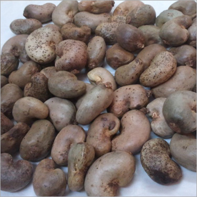 Indian Raw Cashew Nut
