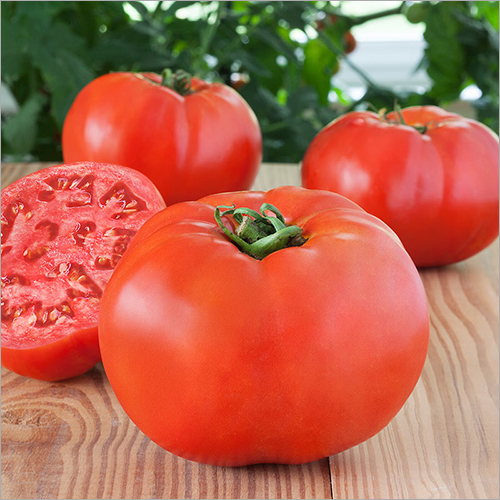 Fresh Tomato