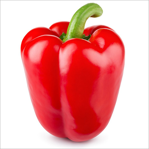 Red Capsicum