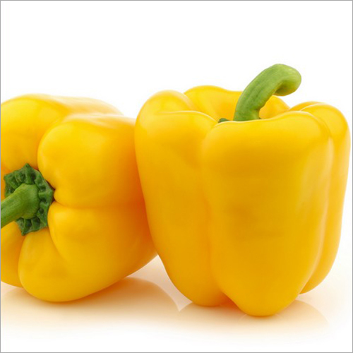 Yellow Capsicum