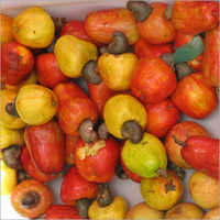 Organic Raw Cashew Nuts
