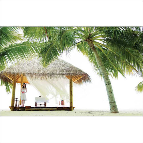 Kerala Tour Packages By MARUTIYATRA. COM