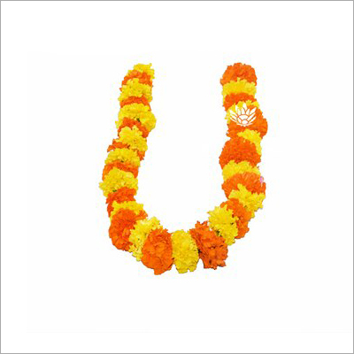 Gende Ka Phool Mix String