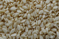 White Sesame Seeds Manufacturer & Exporter Of India