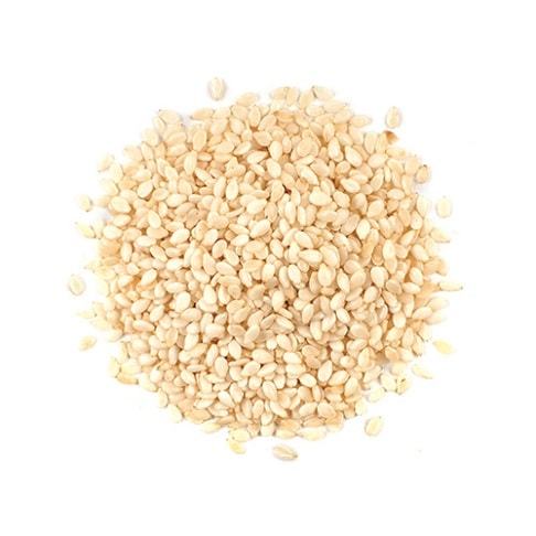Natural Sesame Seeds Manufacturer & Exporter Of India