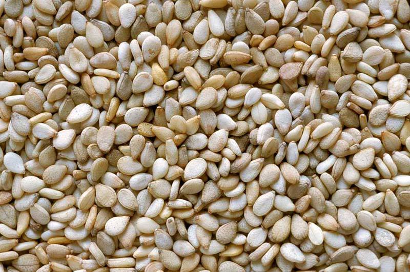Natural Sesame Seeds Manufacturer & Exporter Of India