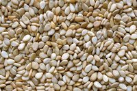 Natural Sesame Seeds Manufacturer & Exporter Of India