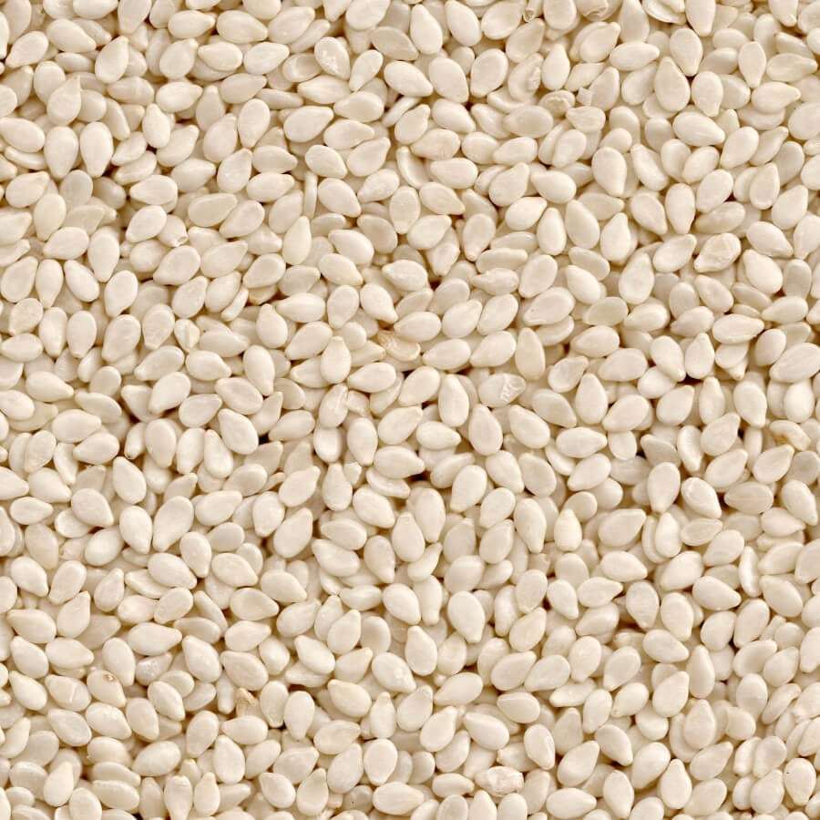 Hulled Sesame Seeds 99.90 Manufacturer & Exporter Of India