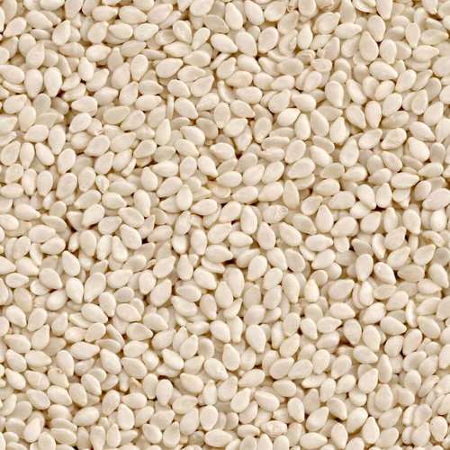 Hulled Sesame Seeds 99.97 Manufacturer & Exporter Of india