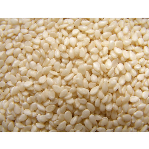 Hulled Sesame Seeds 99.98 Manufacturer & Exporter Of india