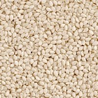 Hulled Sesame Seeds Premium Quality Manufacturer & Exporter Of india