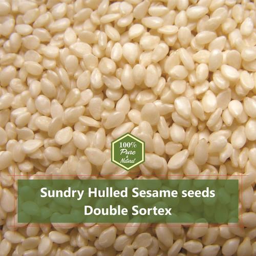 Natural Hulled Sesame Seeds Semi Premium Quality Manufacturer & Exporter Of India