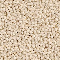 Hulled Sesame Seeds Semi Premium Quality Manufacturer & Exporter Of india