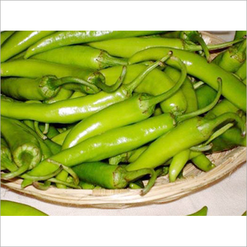 Fresh Green Chilli Shelf Life: 7-8 Week