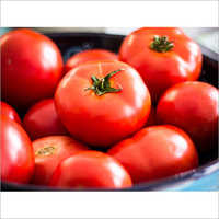 Fresh Tomatoes - Organic, 5-20kg Packaging | Red Color, Fresh Style, 7-10 Days Shelf Life, Good For Health