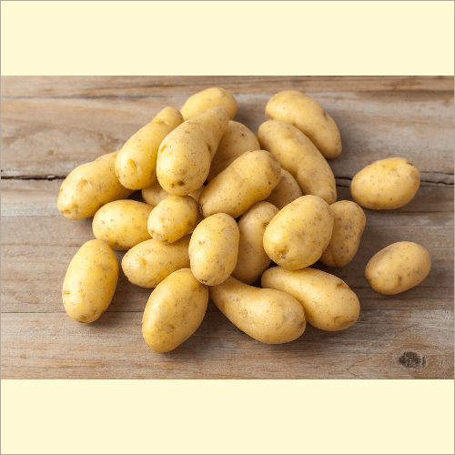 Fresh Potatoes