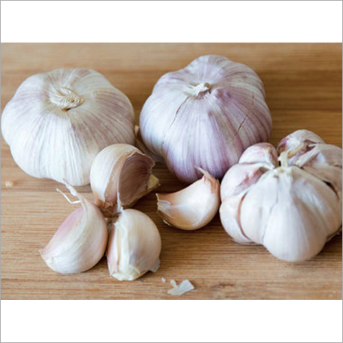 Fresh Garlic