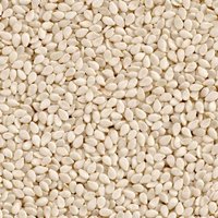 New Indian 2020 Hulled Sesame Seed Premium Quality Manufacturer Exporter Of India