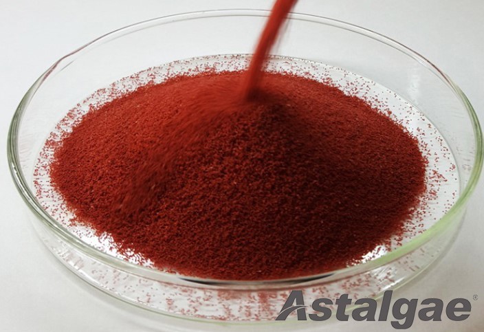 Astaxanthin CWS Beadlets