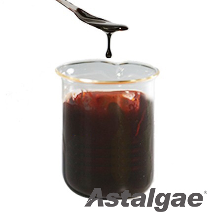 Astaxanthin Oleoresin