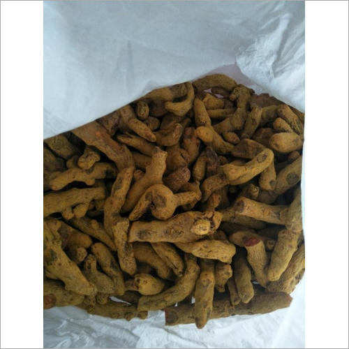 Unpolished Turmeric - Spice, Piece Shape, 6 Months Shelf Life | Moisture Proof Packaging, Processed in Favorable Environment