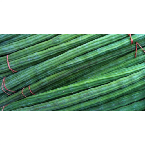 Fresh Drumstick Recommended For: Children