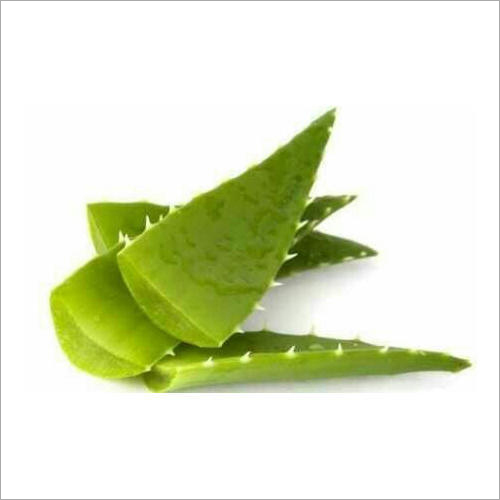Aloe Vera Leaf Recommended For: Men