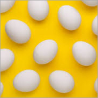 White Shelled Egg