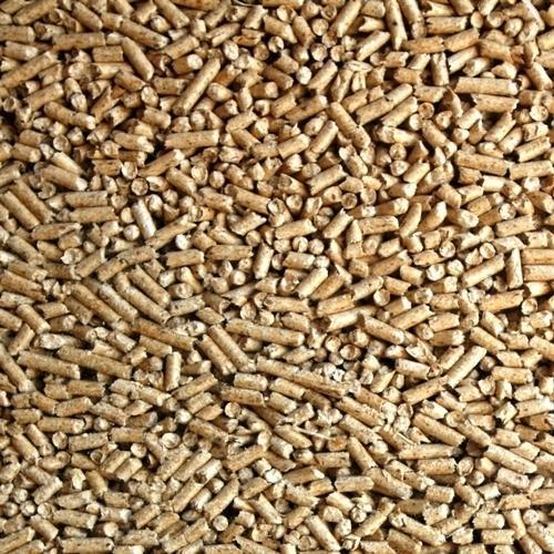 Biomass Pellet