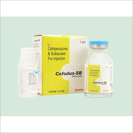 Cefodus-SB Inj