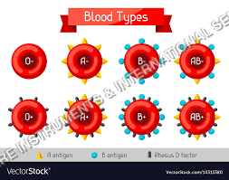 Blood Groups Model