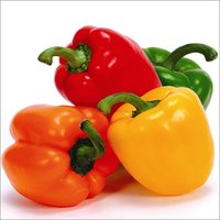 Color Capsicum