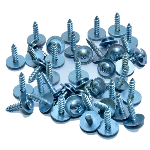 Screws With Washer