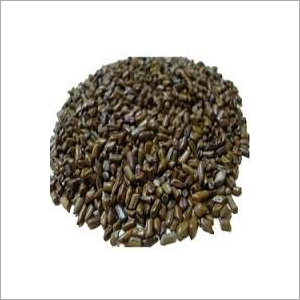 Cassia Tora Seeds, Puwad Beej