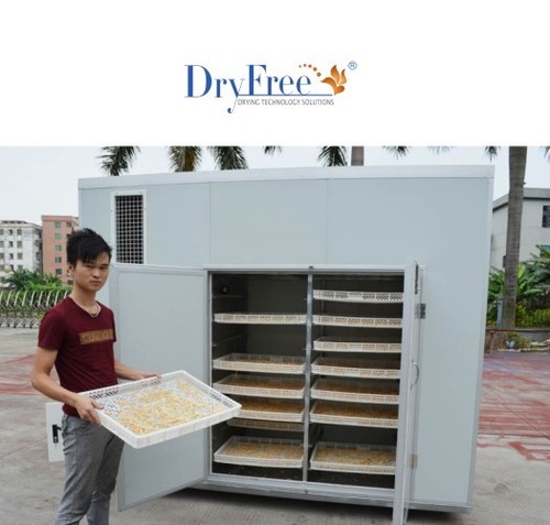 300Kg Energy Saving Onion Dehydrator Dimension(L*W*H): 2800*1100*2200 Millimeter (Mm)