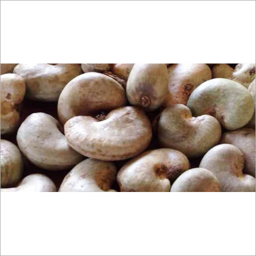 Fresh Cashew Nuts By CONTINUOUS ABIDE MARK LIMITED