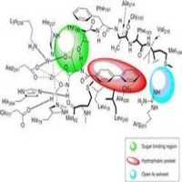 Acid Inhibitors - Liquid Formulation, Good Purity, Versatile Packaging Options