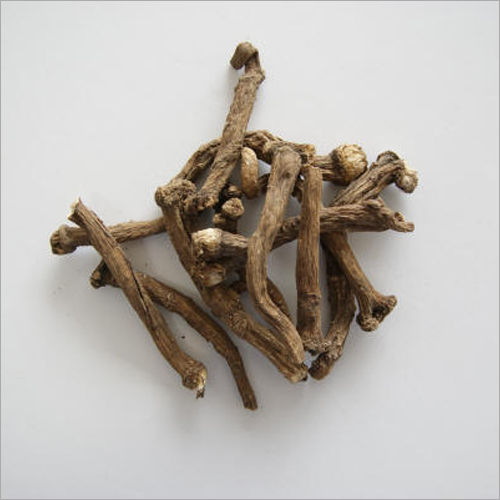 Dandelion Root