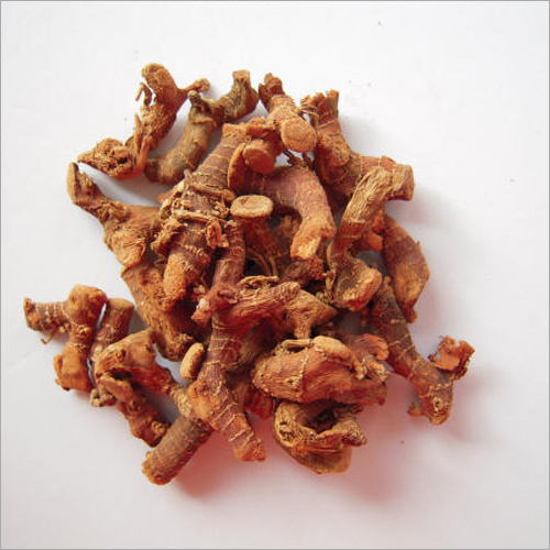Galanga Root