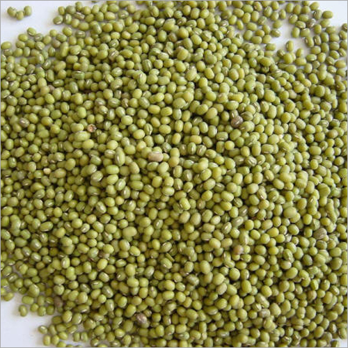 Mungbean -